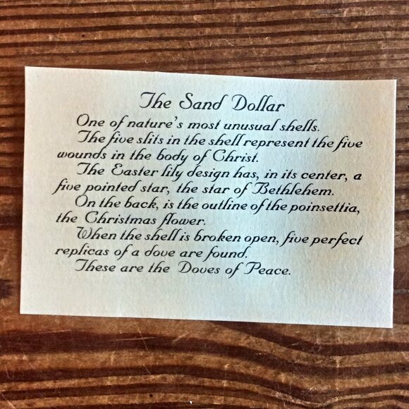 Sand Dollar Ornament Santa Mouse with Cheese Sack Christmas Beach Decor - Picture 4 of 4